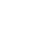 truck icon 